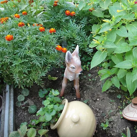 Guest Kotvаta Maison d'hôtes