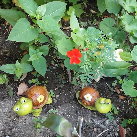 Guest Kotvаta Maison d'hôtes