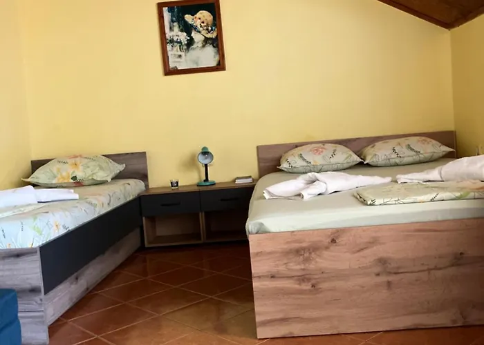 Guest Kotvаta 2* 로제넷츠