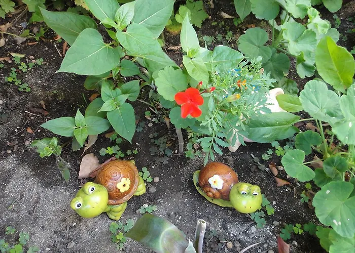 Guest Kotvаta 게스트하우스