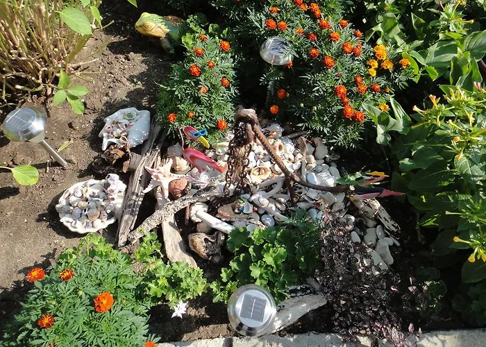 Guest Kotvаta 2* 로제넷츠