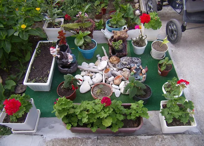 Guest Kotvаta 게스트하우스