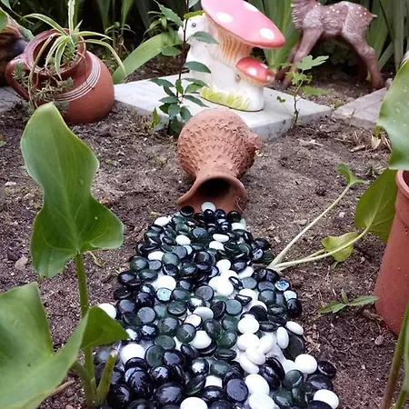 Guest house Guest Kotvаta