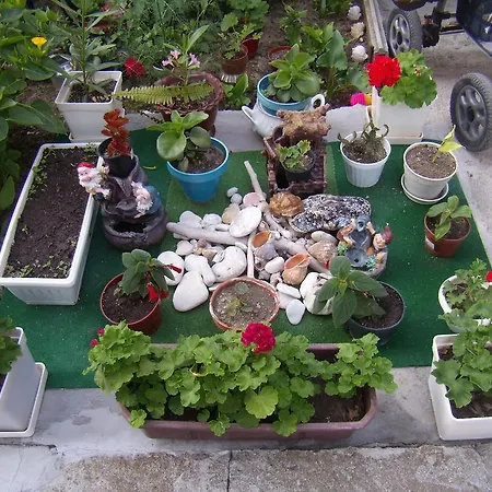 Guest Kotvаta 게스트하우스