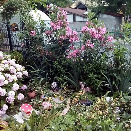 Guest Kotvаta Guest house Lozenets