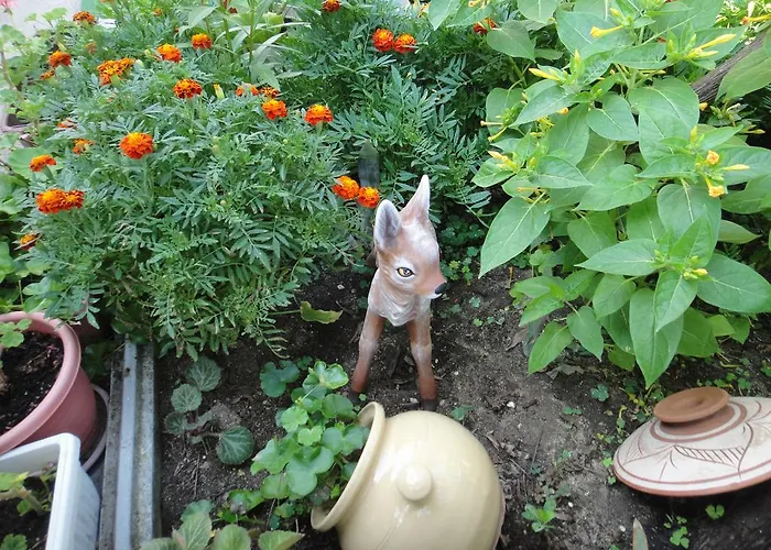 Guest Kotvаta 게스트하우스