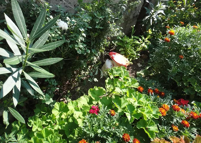 Guest Kotvаta 게스트하우스 로제넷츠