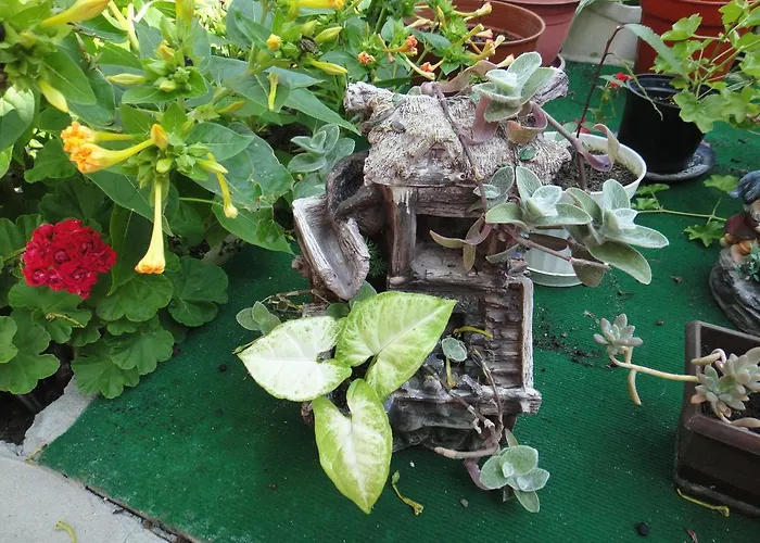 Guest Kotvаta 게스트하우스 2*