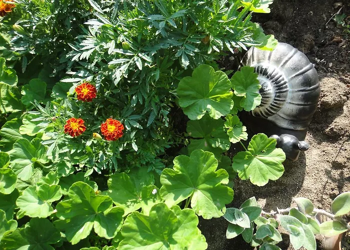 Guest Kotvаta 로제넷츠