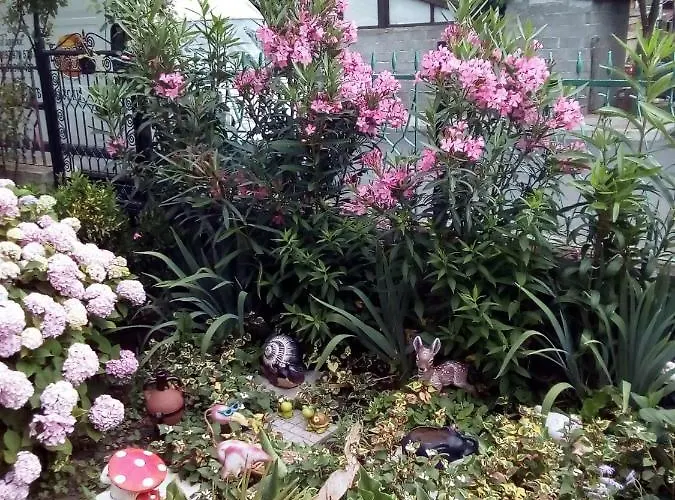 Guest Kotvаta 게스트하우스 로제넷츠